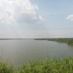 Is it Possible to Protect Nature and Human Rights for Sustainable Harmony in the Long-Term?