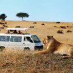 Over 3,000 visitors toured Kenyan Parks and Reserves during the December Holiday