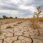 Kwale County Drought Alert