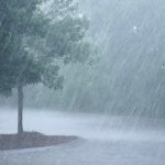 Rainfall Forecast 07 – 14 July 2026.