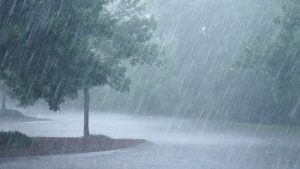 Rainfall Forecast 07 – 14 July 2026.